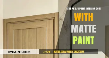 Revamping Your Space: The Pros and Cons of Matte Paint on Interior Doors