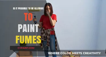 Paint Fumes: Can They Cause Allergies?