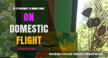 Flying with Paint: What You Need to Know