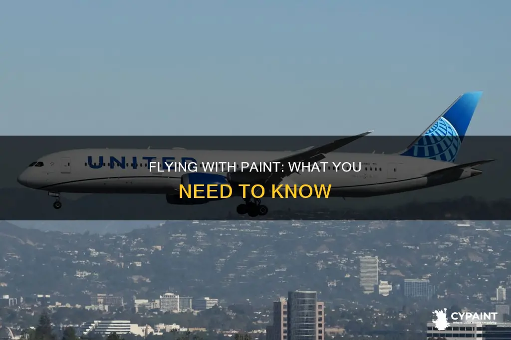 is it possible to bring paint on domestic flight
