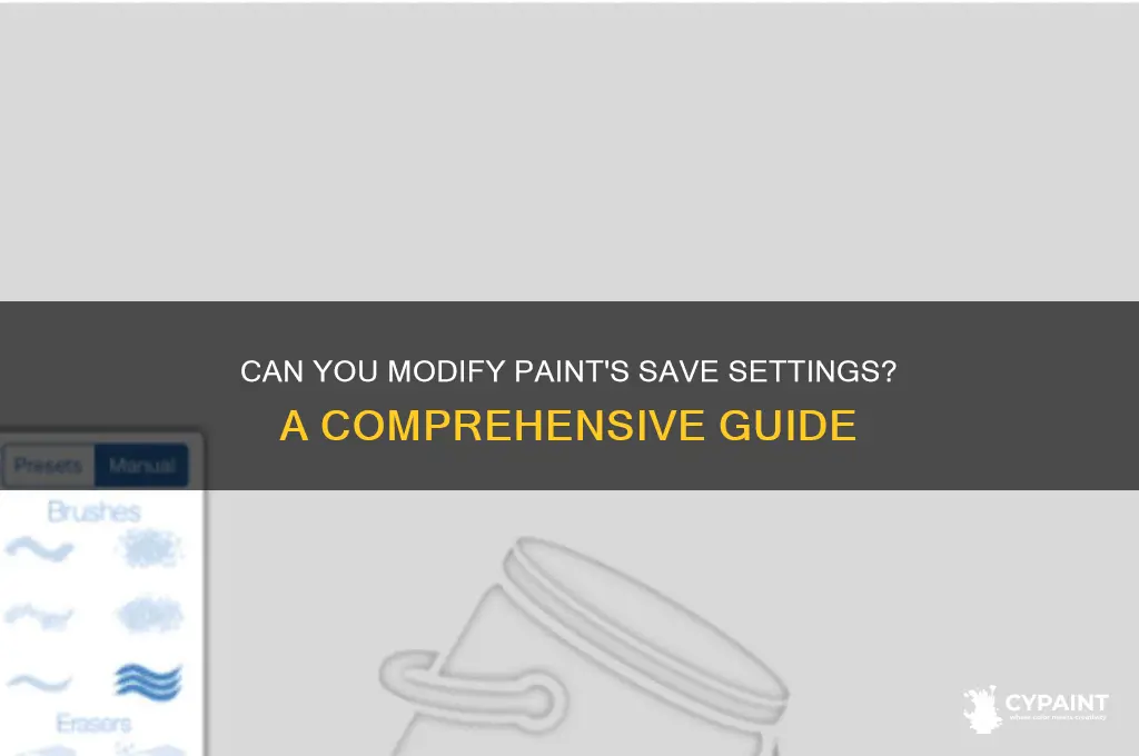 is it possible to change paint save settings