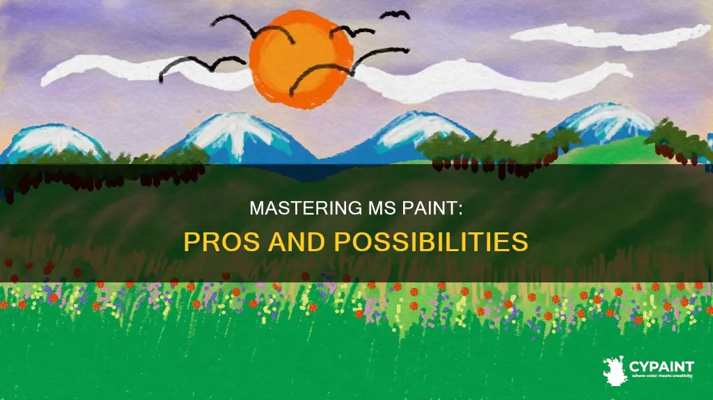 is it possible to go pro with ms paint