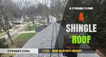 Can You Paint a Shingle Roof? A Complete DIY Guide