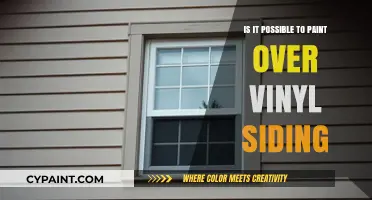 Can You Paint Vinyl Siding? A Complete Guide to Possibilities