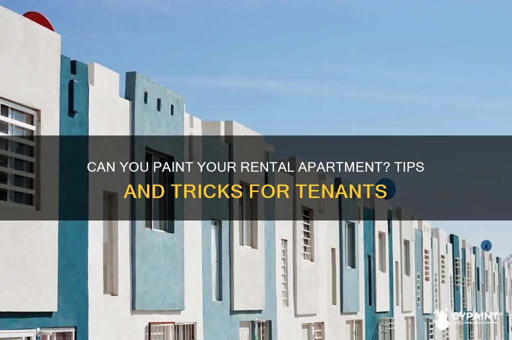 Photo inspiration: Fresh Look at Can You Paint Your Rental Apartment Tips And Tricks For