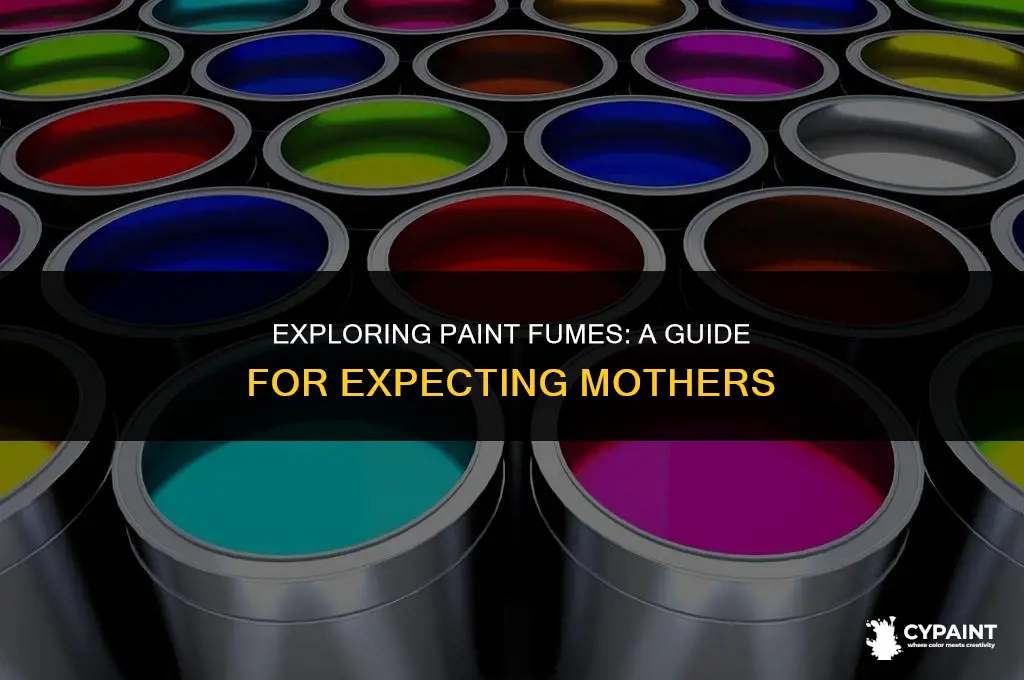 is it safe for a pregnant woman to smell paint