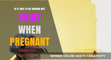 Pregnancy and Wet Paint: Understanding the Risks and Precautions