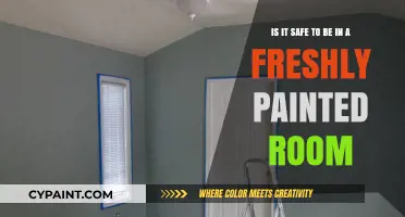 Freshly Painted Rooms: Understanding Safety Precautions and Risks