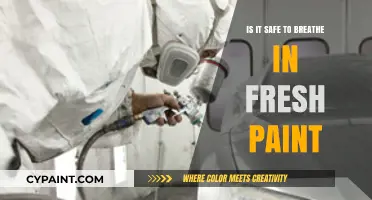 Breathing Fresh Paint: Health Risks and Safety Tips Revealed