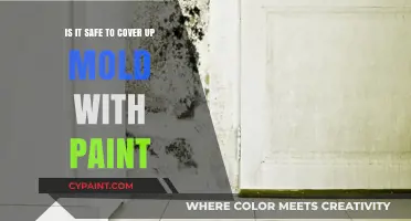 Covering Mold with Paint: A Safe Solution?