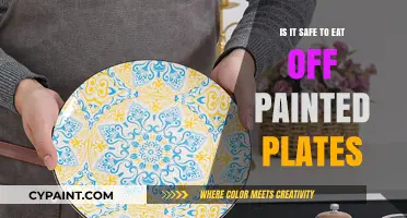 Painted Plates: Safe for Dining or a Health Hazard?