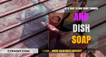 Safely Cleaning Up: The Do's and Don'ts of Mixing Paint Thinner and Dish Soap