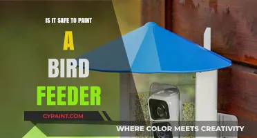 Painting Bird Feeders: Safety Tips for a Colorful Garden Addition