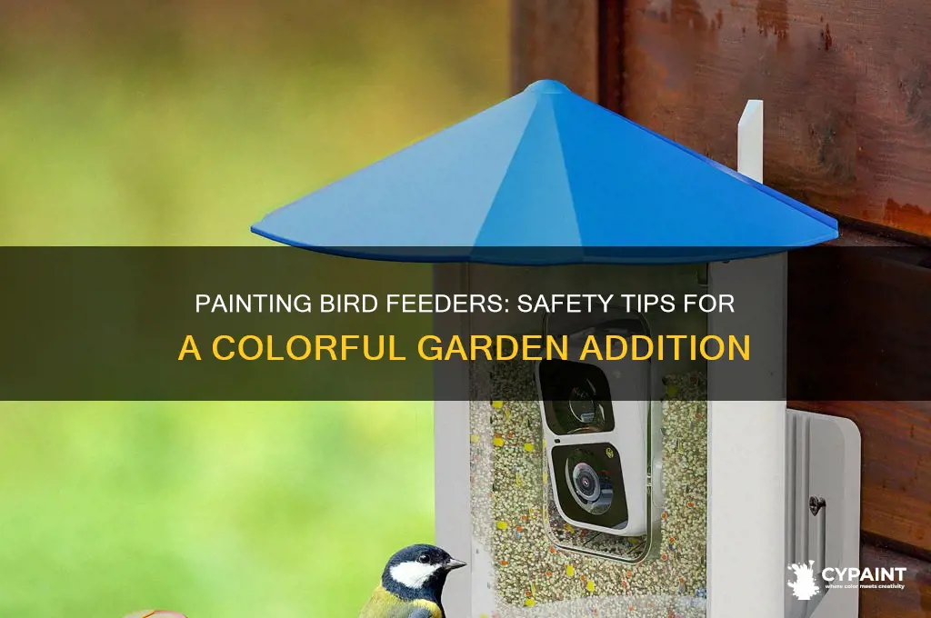 is it safe to paint a bird feeder