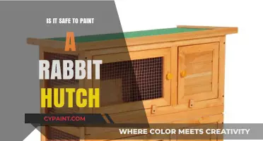 Painting Your Rabbit Hutch: Safety Tips for a Pet-Friendly Finish