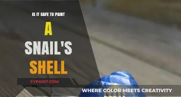Snail Shell Painting: Safe or Not?