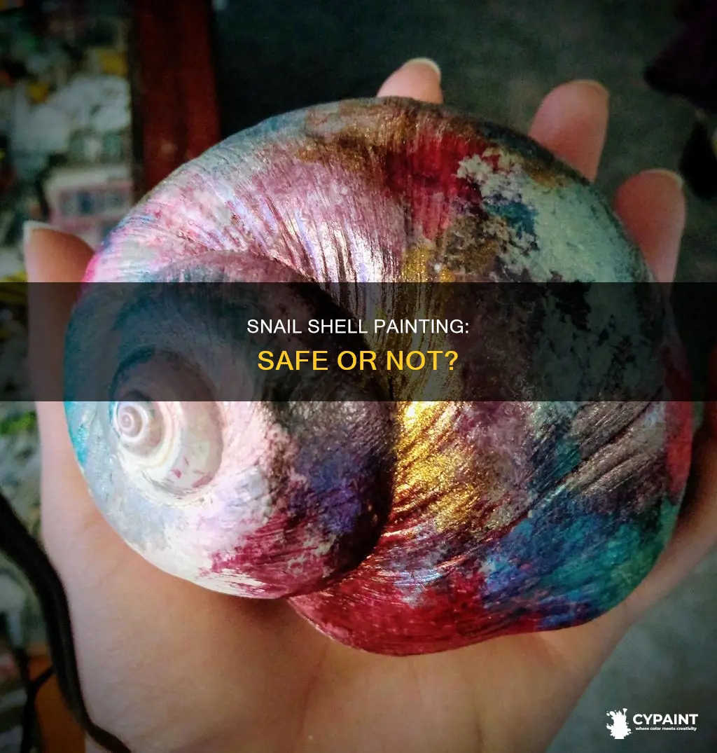 is it safe to paint a snail