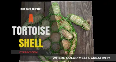 Painting Tortoise Shells: Safety Concerns and Ethical Considerations Explained