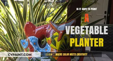 Painting Vegetable Planters: Safety Tips for Your Garden's Health