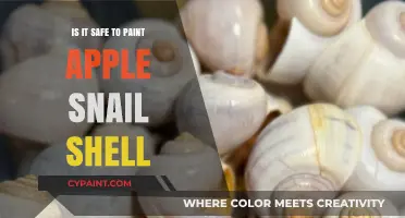 Painting Apple Snail Shells: Safety Tips and Creative Ideas