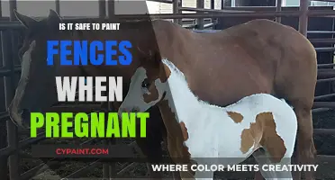 Pregnancy and Painting Fences: Safety Tips for Expecting Moms