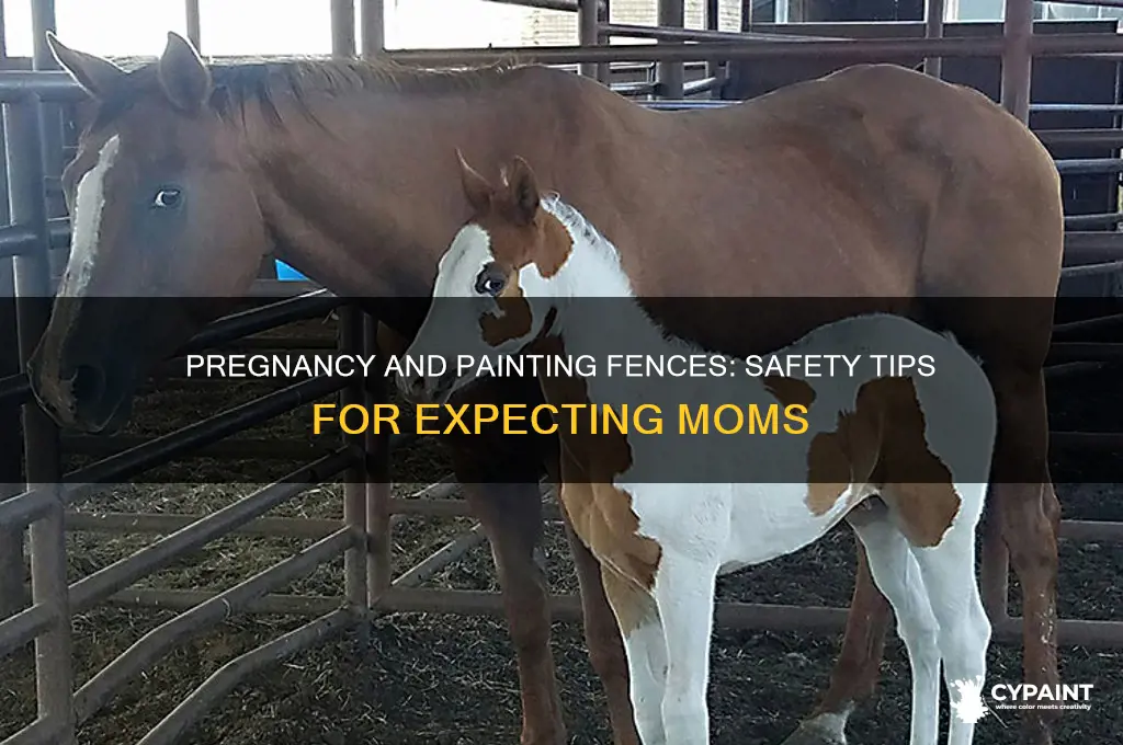 is it safe to paint fences when pregnant