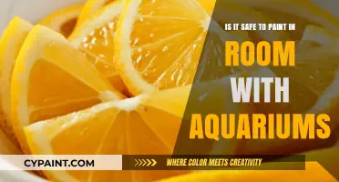 Aquarium Safety: Painting Around Fish Tanks