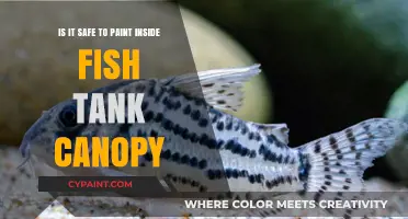 Painting Fish Tank Canopies: Safe or Not?
