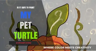 Painting Your Pet Turtle: Safety Tips and Potential Risks