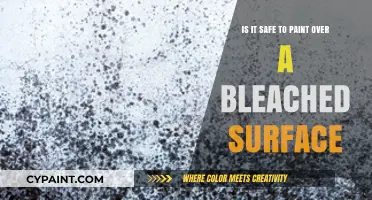 Bleach and Paint: A Safe Mix?