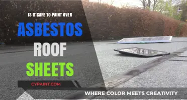 Asbestos Roof Sheets: Safe to Paint Over?