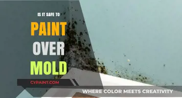 Painting Over Mold: Safe Solution or Hidden Health Hazard?