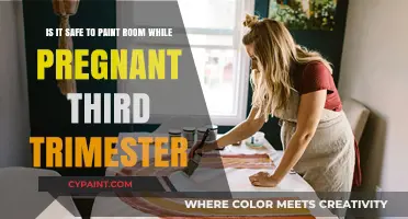Painting During Pregnancy: Safety Tips for the Third Trimester