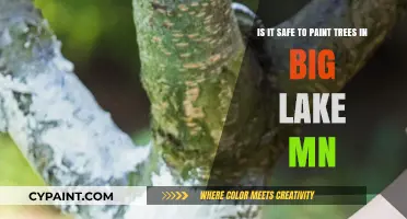 Revitalizing Big Lake MN: The Safety and Impact of Painting Trees