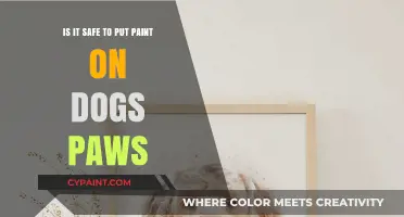 Can Dogs Safely Paint with Their Paws?