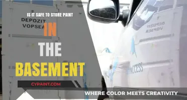 Basement Paint Storage: Safe or Not?