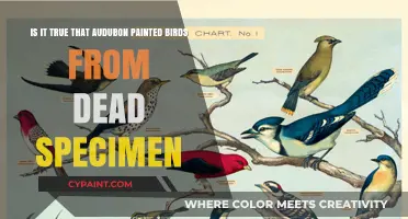 Unveiling Audubon's Artistic Process: The Truth Behind His Bird Paintings