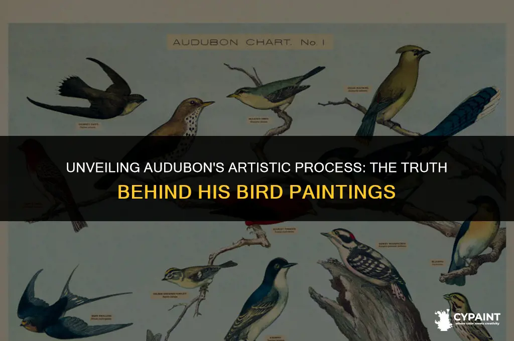 is it true that audubon painted birds from dead specimen
