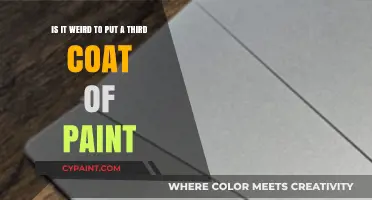 The Art of Layering: Is a Third Coat of Paint Really Necessary?