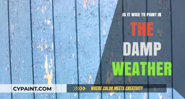 Painting in Damp Weather: Wise or Unwise?