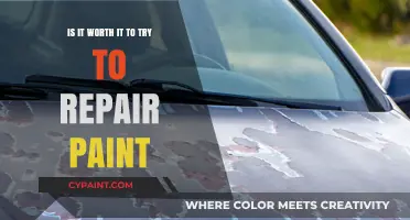 Repairing Paint: Is It Worth the Effort?