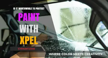 Protecting Your Paint: Is XPEL Worth the Investment?