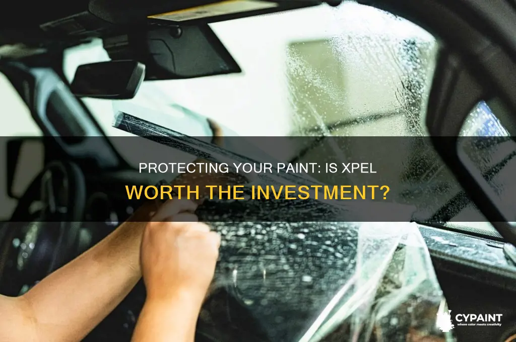 is it worthwhile to protect paint with xpel