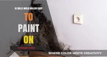 Can You Easily Paint Over Mold Killer? A Practical Guide