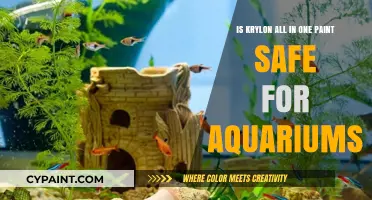 Aquarium Paint Safety: Krylon All-in-One Paint Review