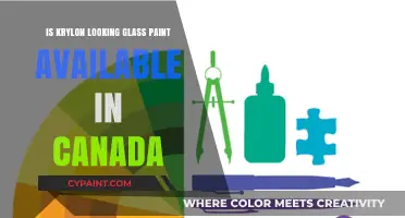 Krylon Looking Glass Paint Availability in Canada: What You Need to Know