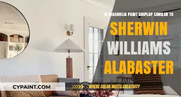 Magnolia Paint Shiplap vs. Sherwin Williams Alabaster: Similar or Different?