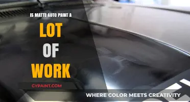 Matte Auto Paint Maintenance: Is It High-Effort or Worth It?