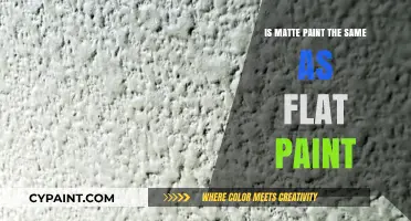 Matte vs. Flat Paint: Understanding the Key Differences and Uses