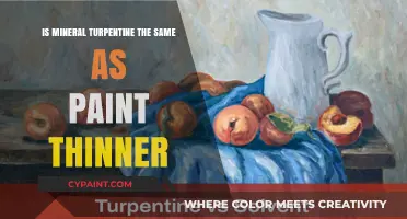 Mineral Turpentine vs Paint Thinner: Understanding the Key Differences
